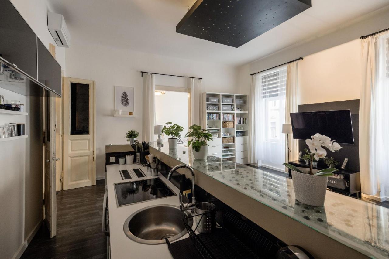 Spacious Apartment Almassy Budapest Luaran gambar