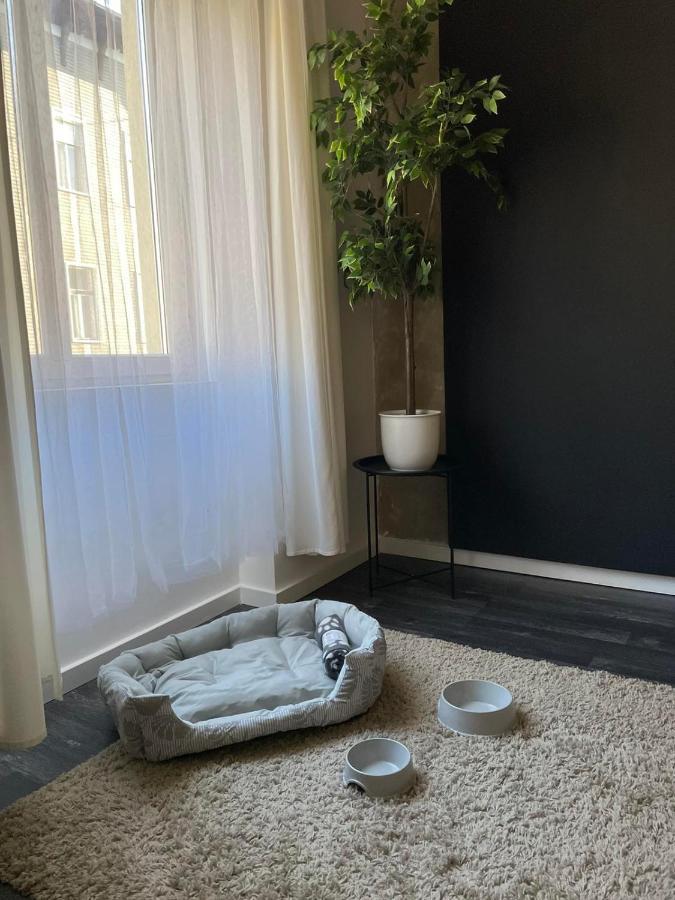 Spacious Apartment Almassy Budapest Luaran gambar